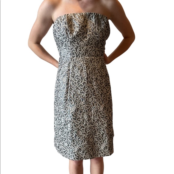 The Limited Dresses & Skirts - The Limited size 10 dress